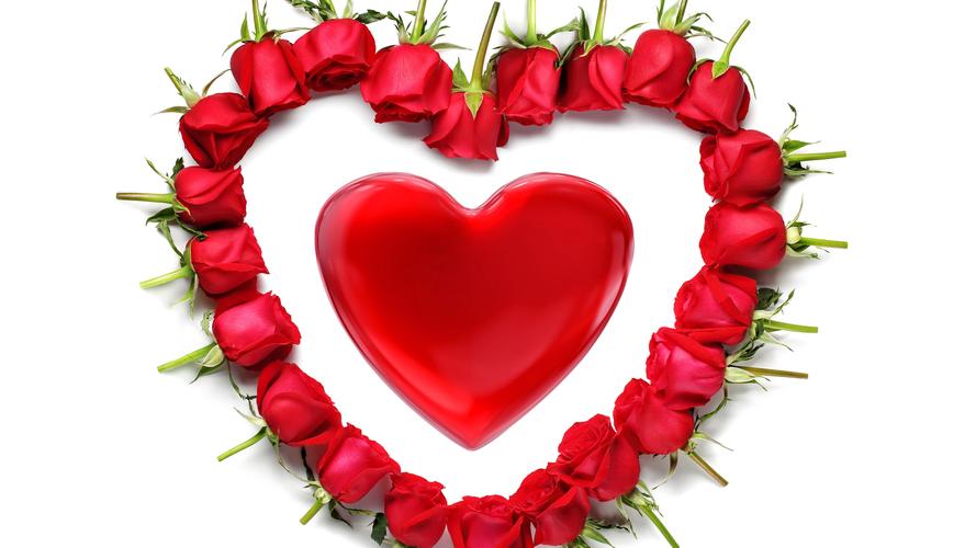 壁纸 红色爱心,玫瑰,白色背景,浪漫