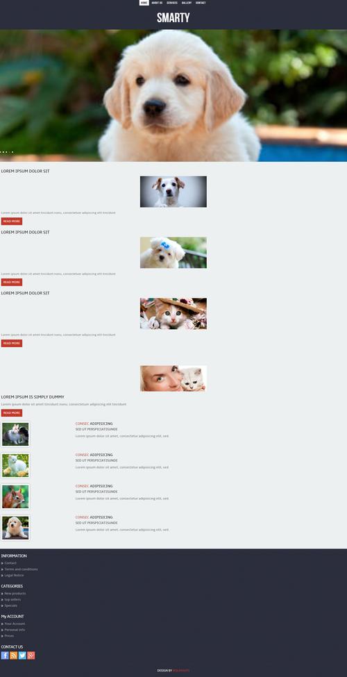 html5白色宽屏样式宠物美容服务网页模板代码下载