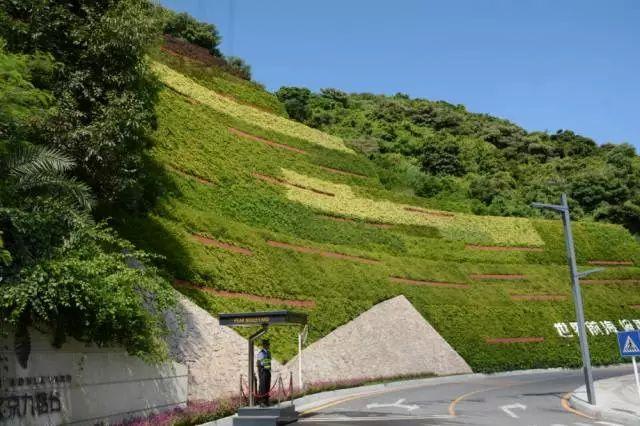 半山半画卷,一方一倾城——深圳最美立体绿化景观边坡
