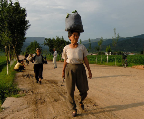 2010年,真实的朝鲜农村和条件好的农民家庭布置