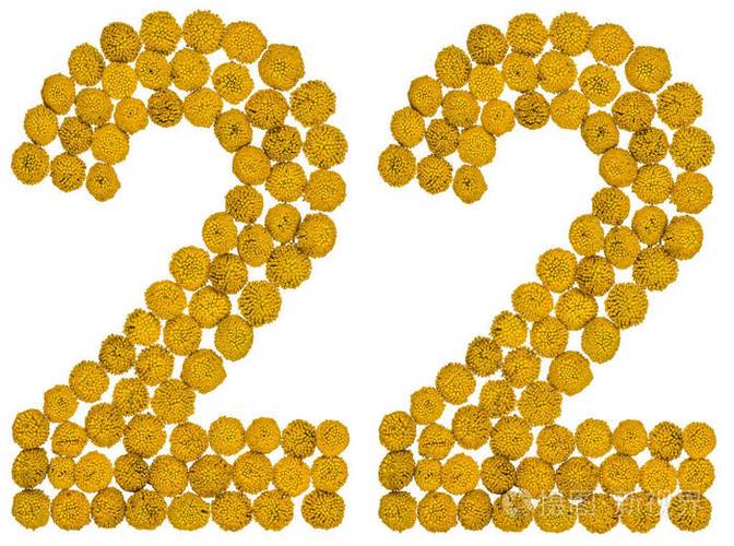 阿拉伯数字 22, 二十二, 从艾菊的黄色花朵, iso