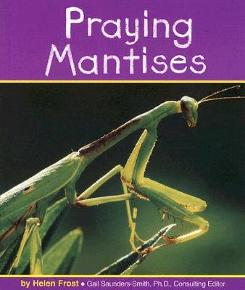 【预订】praying mantises