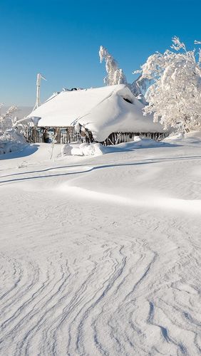 大雪,树木,房屋,白色世界,冬天