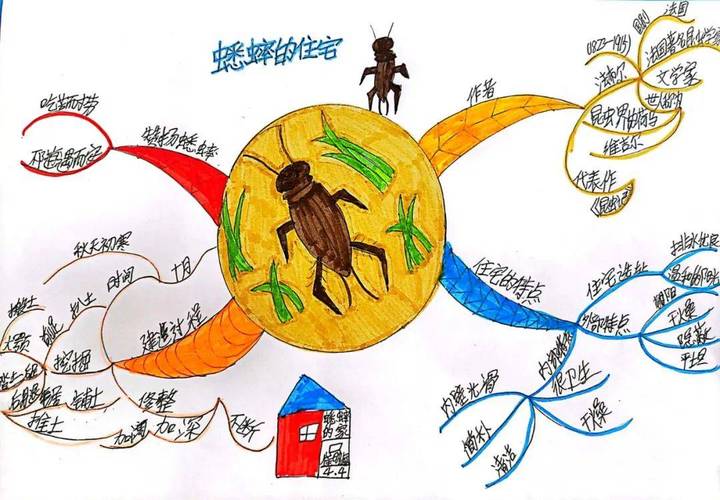 【书香四班——爱,让我们在一起】《蟋蟀的住宅》思维导图实践作业