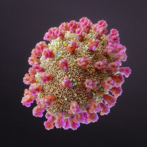 新冠病毒到底什么样:科学而艺术地描画病毒的100种方式 | 界面新闻