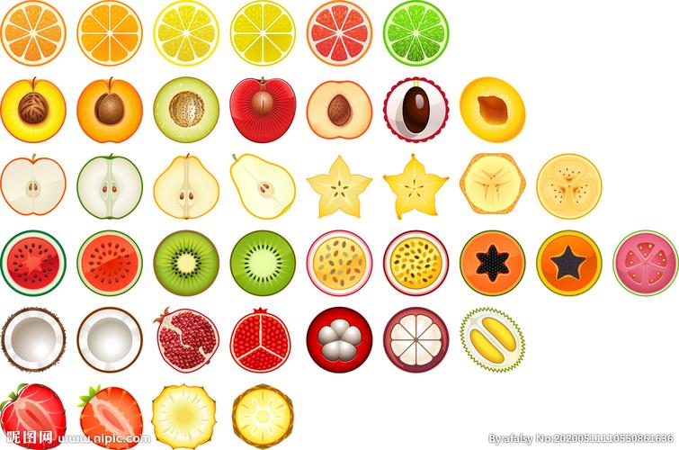 矢量拟物水果剖面设计图__餐饮美食_生活百科_设计图库_昵图网nipic.