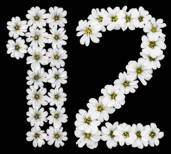 阿拉伯文数字 12, 十二, 一, 二, 从白色花 cerastium tomentosum, 被