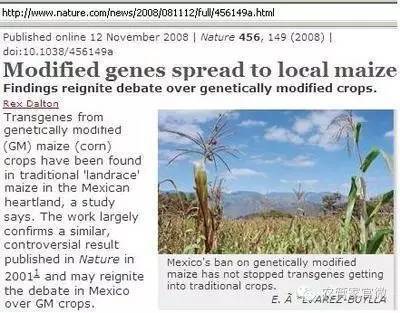 墨西哥玉米污染事件回应:经农业部门专家现场勘察,这些地区并没有种植