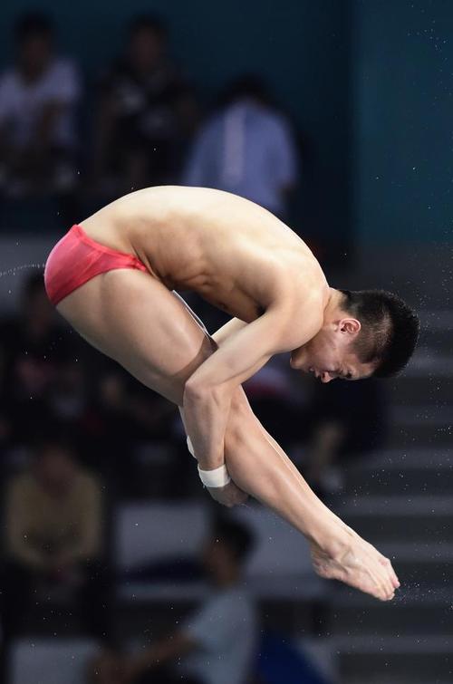 跳水全国冠军赛杨健获男子10米跳台冠军