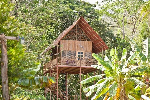 哥斯达黎加的热带雨林树屋,在天然的温泉和清凉的泳池里放松身心.