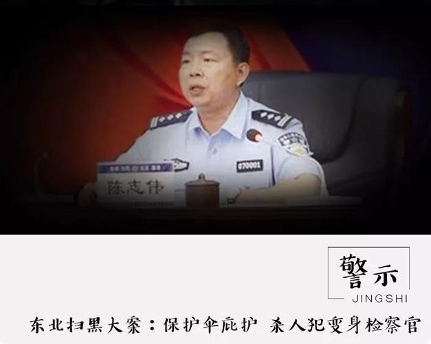 典型案例,其中包含海林市人民检察院技术室原副主任陈志伟涉恶腐败案