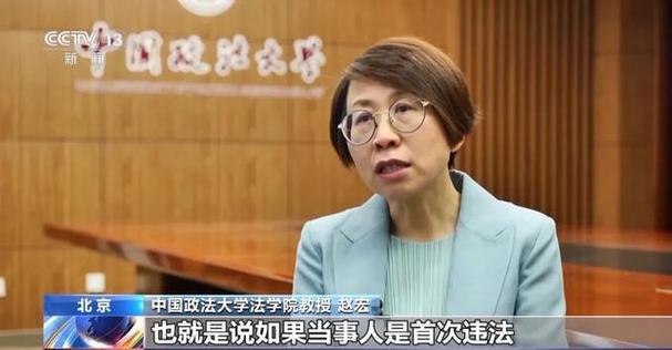中国政法大学法学院教授 赵宏:它明确规定,第一,首违可以不罚,也就是