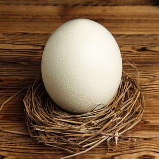 土大妈鸵鸟蛋1枚散养新鲜有营养安全食用