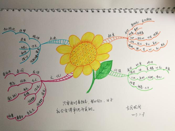 我查阅了向日葵的有关资料后,完成了今天的作业,中心图的设计