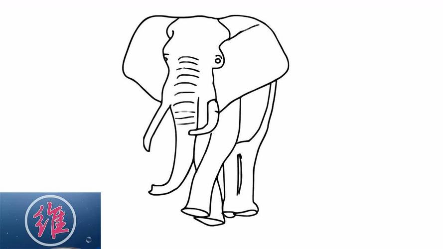 「零基础手绘」如何快速画出大象的正视图
