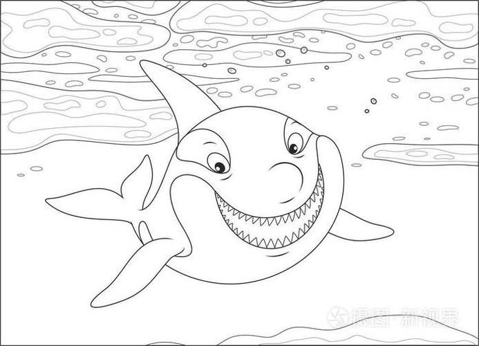 插画 虎鲸在极地海洋漂浮的浮冰中游泳,黑白矢量插图,卡通风格为一本