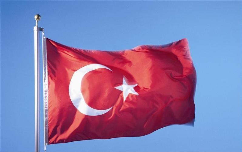 土耳其国旗有几颗星?