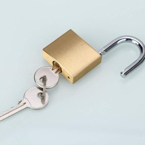 zhenzhi 畅销实心黄铜钥匙锁可自定义锁定不同的钥匙
