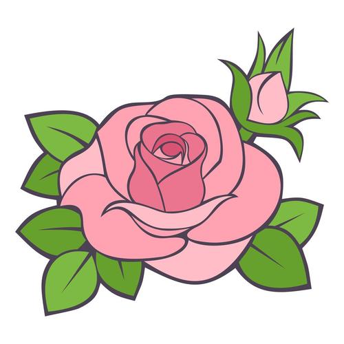 粉红色的玫瑰.矢量插画.