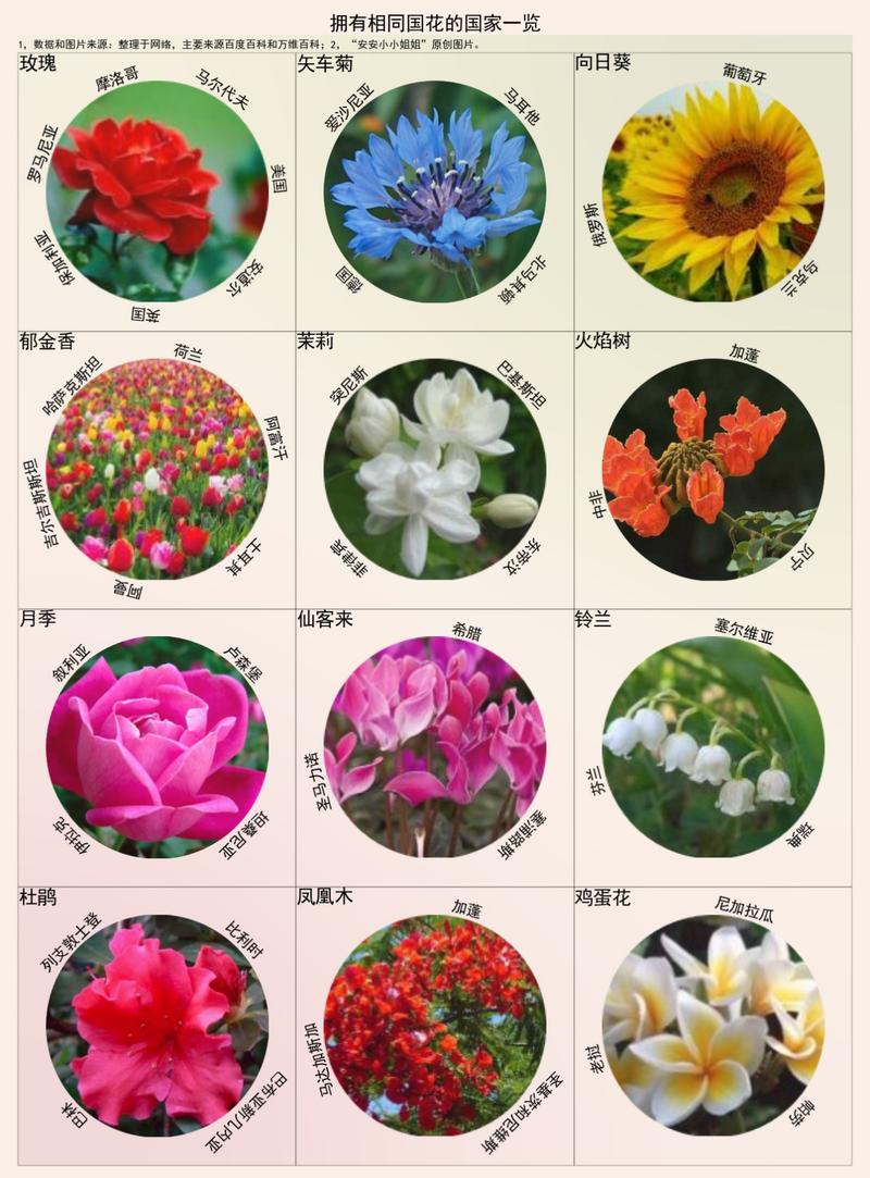 各国国花一览:如果要在牡丹和梅花中选,你选哪个做国花?
