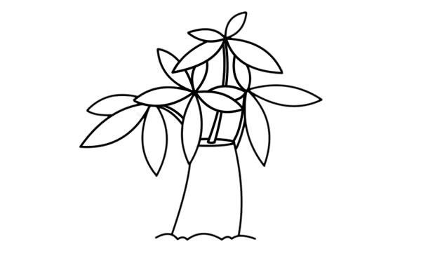 发财树盆栽简笔画步骤图解教程发财树手绘图画简单