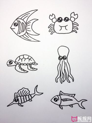 漂亮的儿童简笔画大全,各种海底生物简笔画