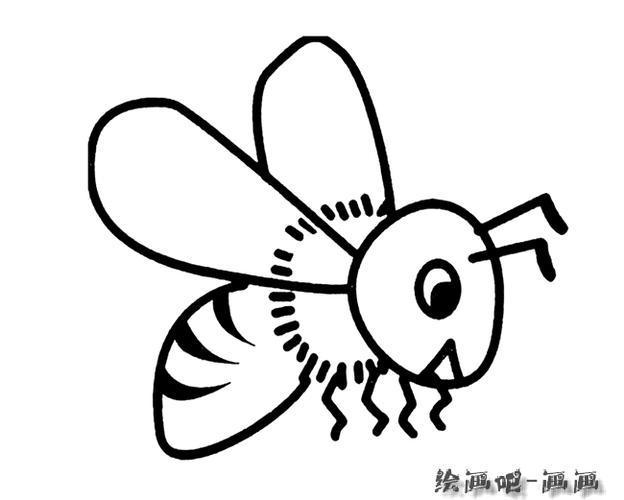 赤条蜂简笔画的画法