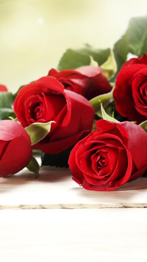 红色玫瑰花,花束,浪漫 iphone 壁纸