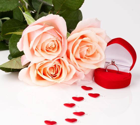 浪漫,戒指,玫瑰,爱心,浪漫爱的求婚壁纸