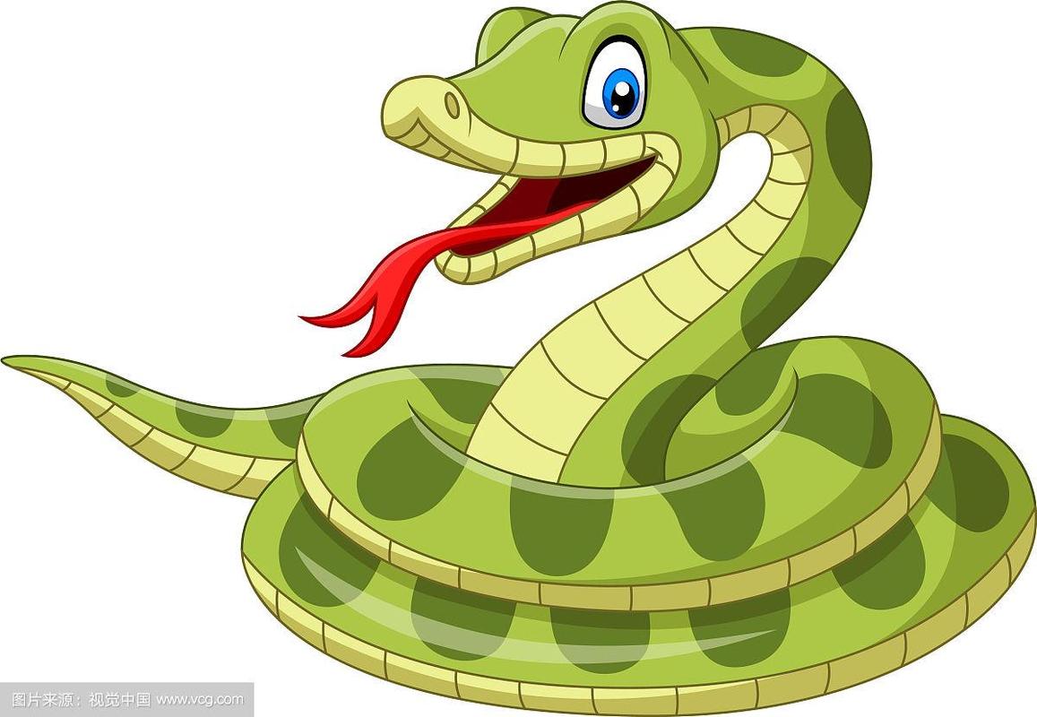 卡通的绿色蛇在白色的背景