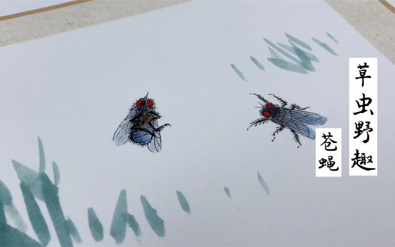 中国画草虫野趣之苍蝇篇绘画过程记录