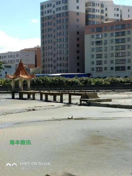 海丰县文化公园原青年公园建设新动态