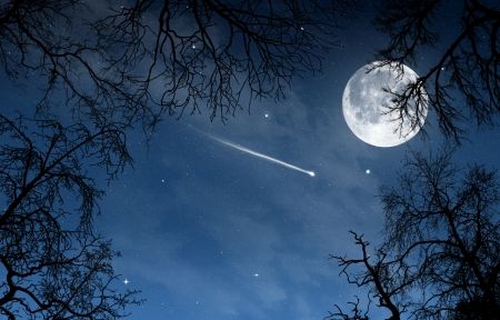 晚上,星星,月亮,流星,树木,夜晚的天空风景图片彼岸图网提供精美好看