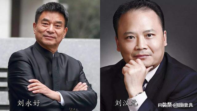 论年龄,刘汉元比刘永好小了13岁,两人都曾任过公职,虽然他们本人可能
