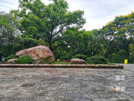 杭州花圃旅游景点图片