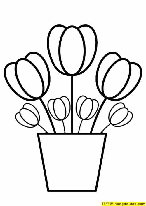 10张仙人掌小红花向日葵郁金香小雏菊可涂色卡通植物简笔画