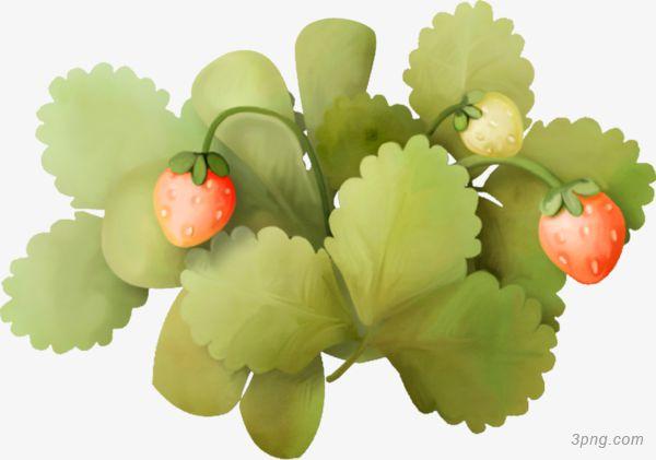 草莓和绿叶png素材透明免抠图片动植人物