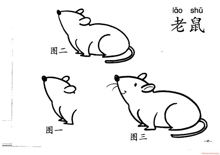 简笔画《老鼠》画法教程