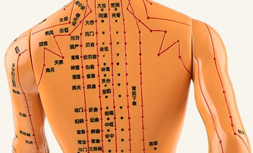背部穴位按摩等背部穴位相关知识,让您更清楚地了解并运用人体背部的
