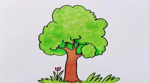一棵大树简笔画的简单画法如何画大树的简笔画树怎么画好看植物简笔画