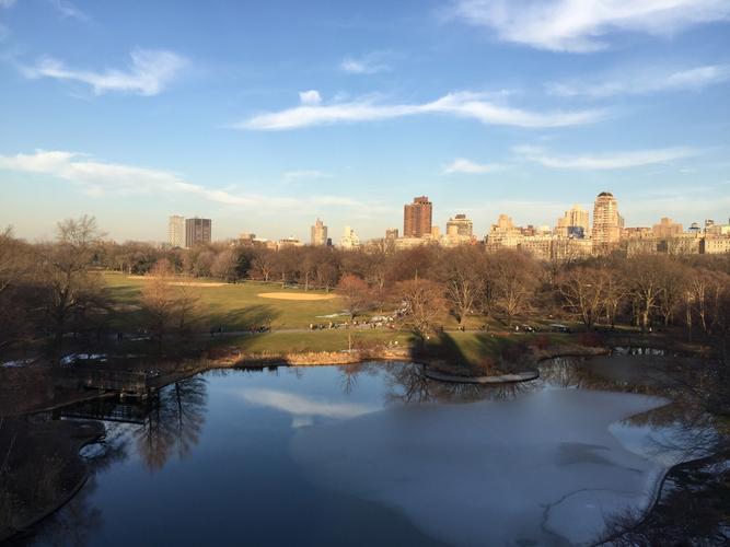 冬日阳光中的纽约中央公园