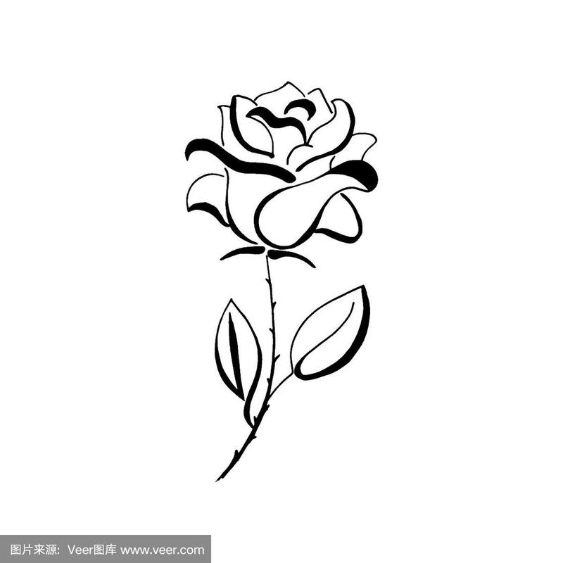 黑色的手绘玫瑰.向量,设计元素.孤立在透明背景上.花朵图标.