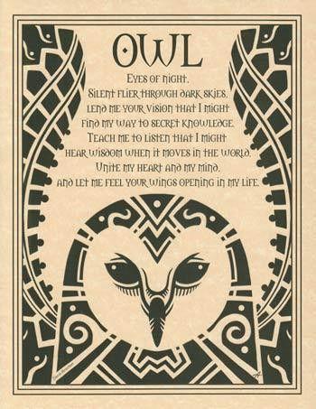 拥抱精神的智慧,猫头鹰海报描绘了一个诗歌般的祈祷猫头鹰的图腾精神