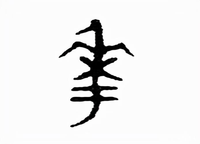 花:汉字的起源与演变(小学一年级语文生字 第32集)