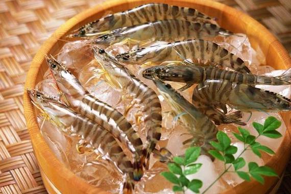 基围虾俗称沙虾,泥虾,分类上隶属于甲壳纲,十足目,对虾科,新对虾属,其