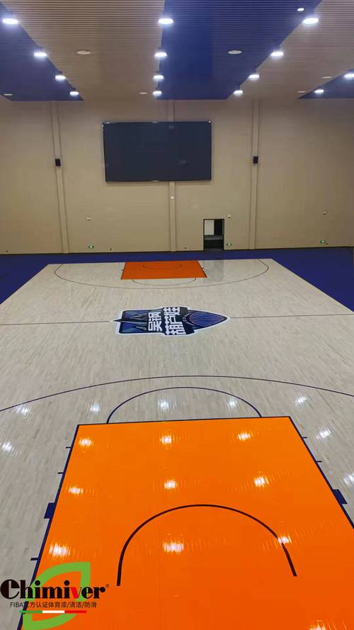 nba球队主场篮球地板彩漆的风格及实际运用3