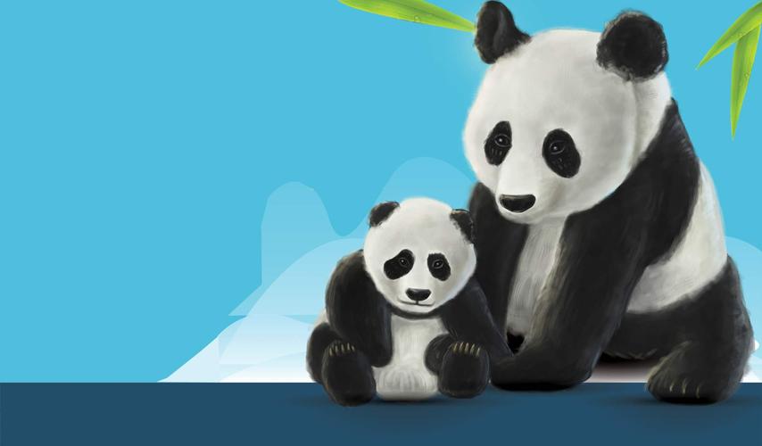 四次全国调查的野生大熊猫数目