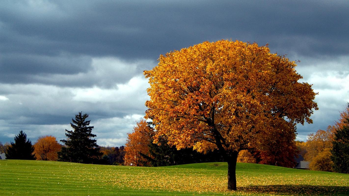 秋季美景摄影图片高清宽屏壁纸