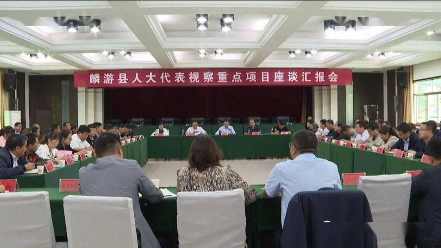 省市县人大代表对麟游县2020年重点项目建设情况进行视察