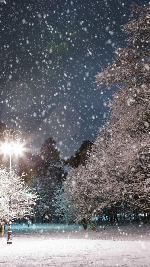 落雪树之夜